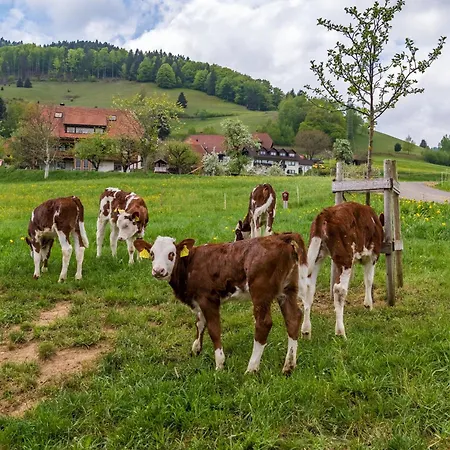 Wiesenglueck *