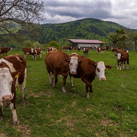 アパート Wiesenglueck *